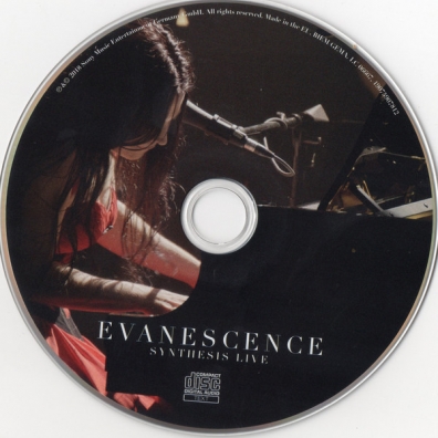 Evanescence (Эванесенс): Synthesis Live