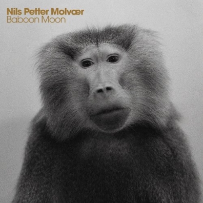 Nils Petter Molvaer (Нильс Петтер Молвер): Baboon Moon