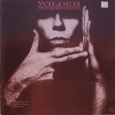 Wilder The Teardrop Explodes: Wilder
