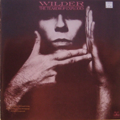 The Teardrop Explodes: Wilder