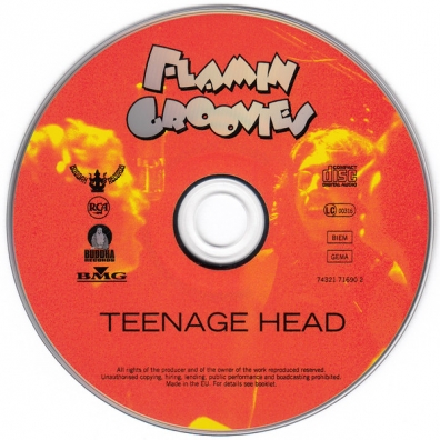 Teenage Head The Flamin Groovies (Зе Фламин Гроовиес): Teenage Head