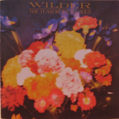 The Teardrop Explodes: Wilder