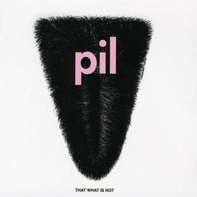 That What Is Not Public Image Limited (Паблик Имидж Лимитед): That What Is Not