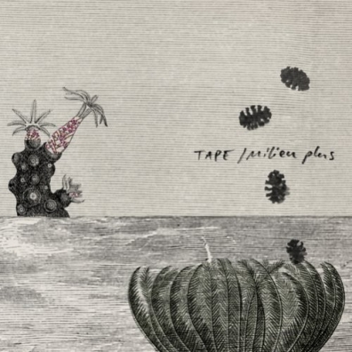 Milieu Plus Tape (Тапе): Milieu Plus