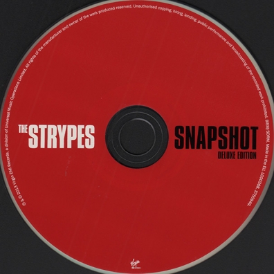 The Strypes (Зе Страйпес): Snapshot