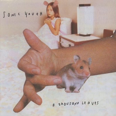 Sonic Youth: A Thousand Leaves