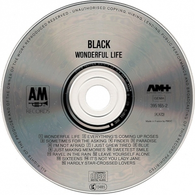 Wonderful Life Black (Блэк): Wonderful Life