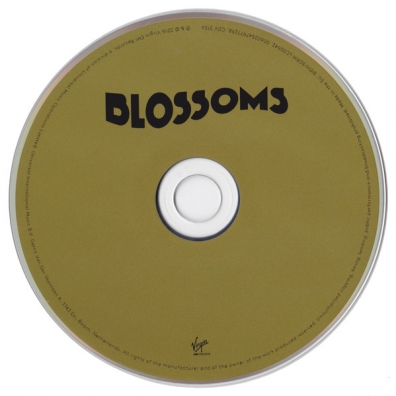 Blossoms (Блоссомс): Blossoms