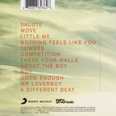 Little Mix (Литл Микс): Salute