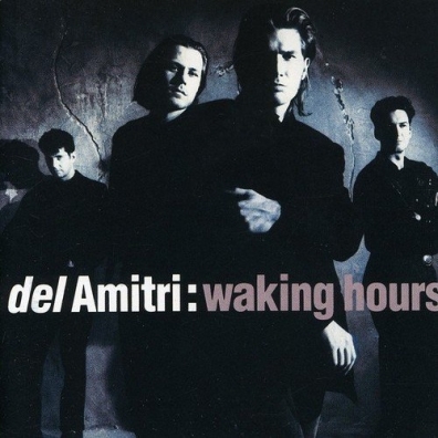 Del Amitri (Дель Амитри): Waking Hours