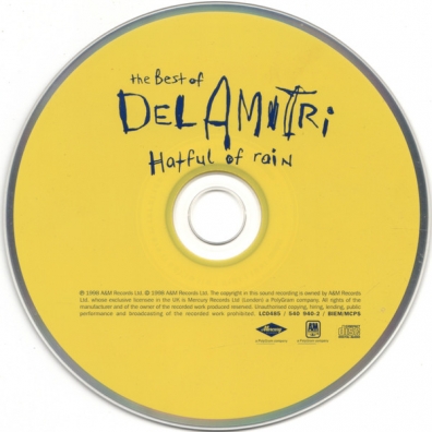 Del Amitri (Дель Амитри): The Best Of Del Amitri - Hatful Of Rain