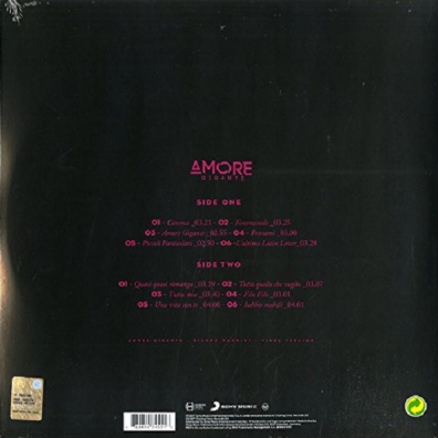 Amore Gigante Gianna Nannini (Джанна Наннини): Amore Gigante