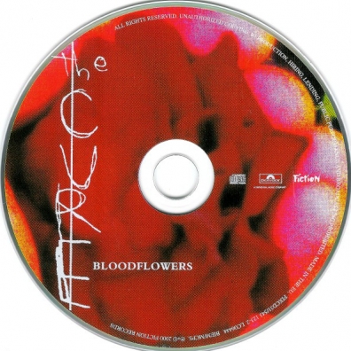 Bloodflowers The Cure: Bloodflowers