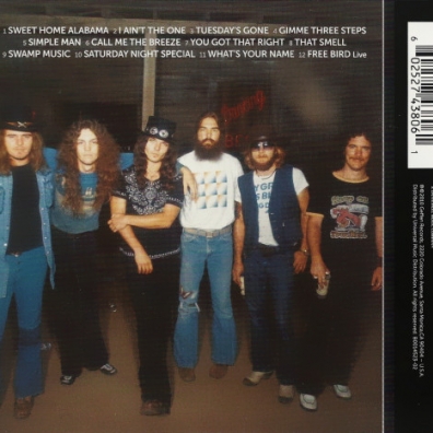 Lynyrd Skynyrd (Линирд Скинирд): Icon Collection