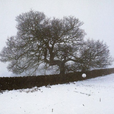 Hymns Of The 49Th Parallel K.D. Lang (Кэтрин Дон Ланг): Hymns of the 49th Parallel