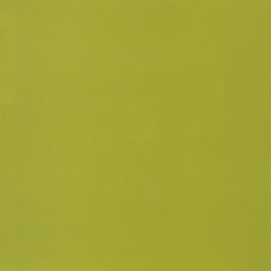 Icon Collection Lynyrd Skynyrd (Линирд Скинирд): Icon Collection