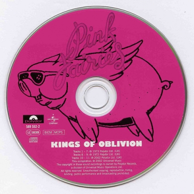 The Pink Fairies (Зе Пинк Фаириес): Kings Of Oblivion