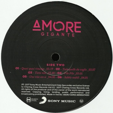 Amore Gigante Gianna Nannini (Джанна Наннини): Amore Gigante