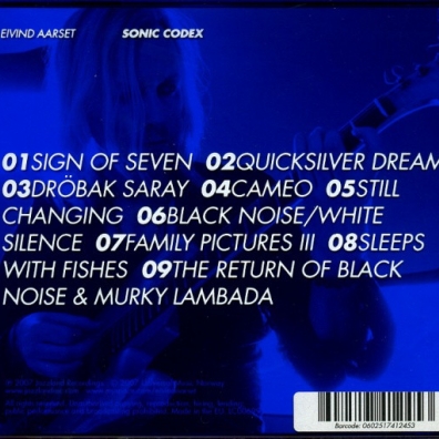 Sonic Codex Eivind Aarset (Эйвинд Орсет): Sonic Codex