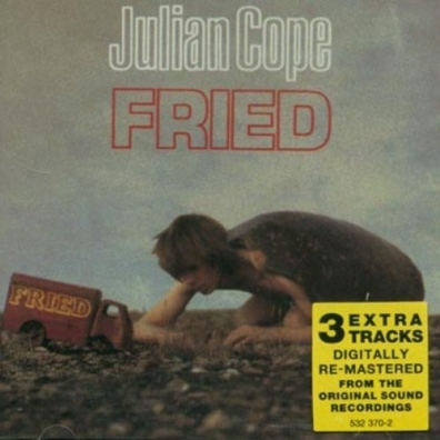 Julian Cope (Джулиан Коуп): Fried