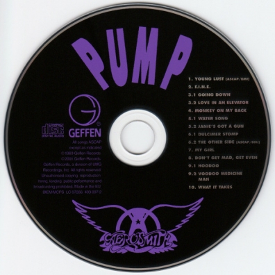 Aerosmith (Аэросмит): Pump