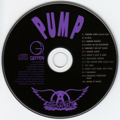Pump Aerosmith (Аэросмит): Pump