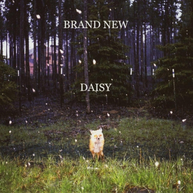 Brand New (Бренд Нью): Daisy