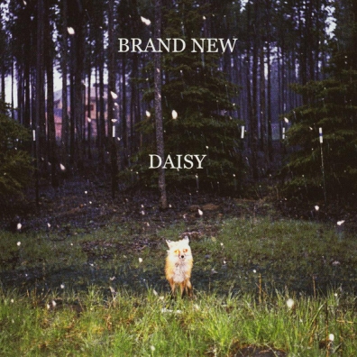 Daisy Brand New (Бренд Нью): Daisy