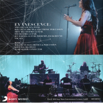 Evanescence (Эванесенс): Synthesis Live