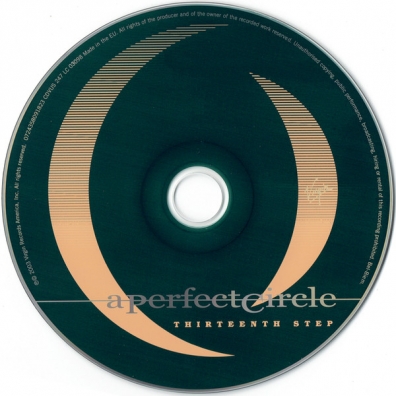 Thirteenth Step A Perfect Circle (А перфект циркл): Thirteenth Step