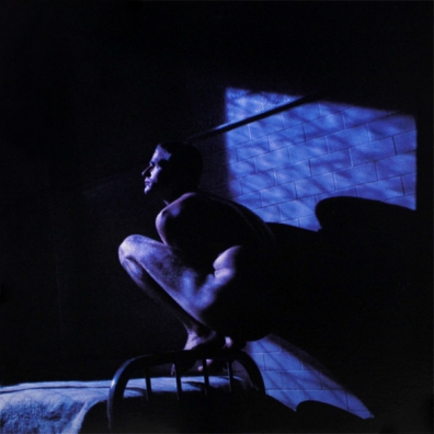 Birdy Peter Gabriel (Питер Гэбриэл): Birdy