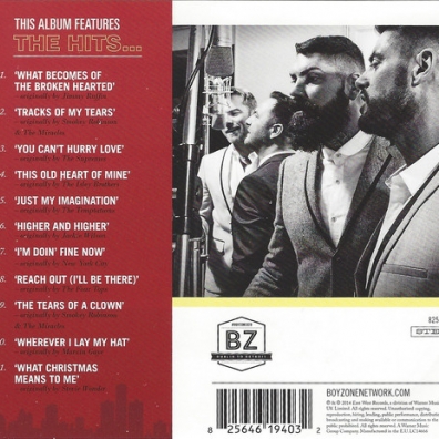 Boyzone (Бойзон): Dublin To Detroit