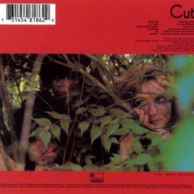 The Slits (Зе Слитс): Cut