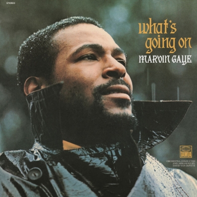 Marvin Gaye (Марвин Гэй): What's Going On