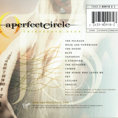 Thirteenth Step A Perfect Circle (А перфект циркл): Thirteenth Step