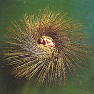 Ovo Peter Gabriel (Питер Гэбриэл): Ovo