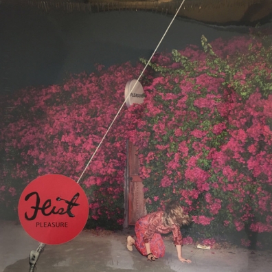 Pleasure Feist (Лесли Файст): Pleasure