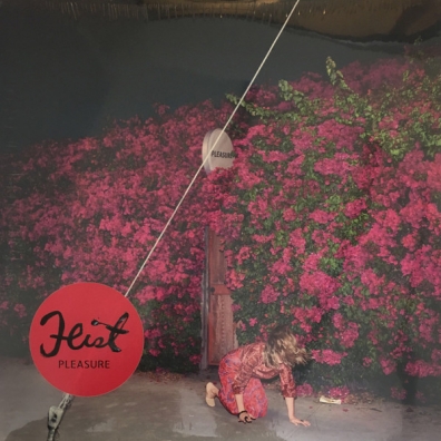 Feist (Лесли Файст): Pleasure