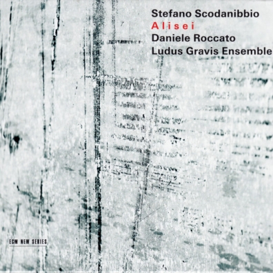 Alisei Stefano Scodanibbio: Alisei