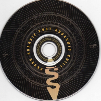 Post Orgasmic Chill Skunk Anansie (Сканк Анэнси): Post Orgasmic Chill