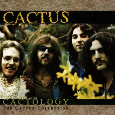 Catology Cactus: Catology