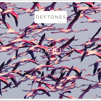 The Deftones (Зе Дефтонес): Gore