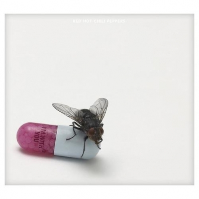 I'm With You Red Hot Chili Peppers (Ред Хот Чили Пеперс): I'm With You