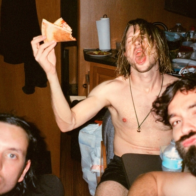Celebrity Mansions Dinosaur Pile-Up (Динасур Пиле Ап): Celebrity Mansions