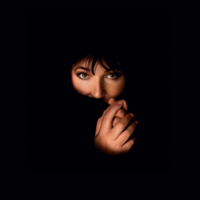 Vinyl Box 4 Kate Bush (Кейт Буш): Vinyl Box 4