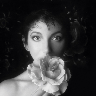Vinyl Box 2 Kate Bush (Кейт Буш): Vinyl Box 2