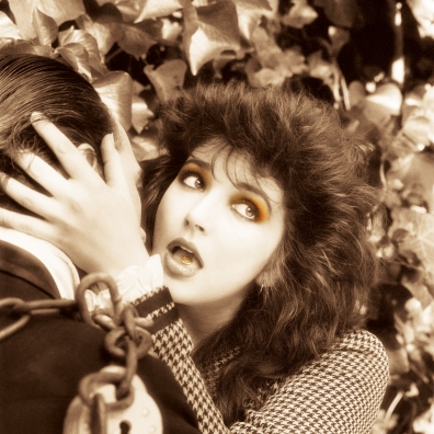 Vinyl Box 1 Kate Bush (Кейт Буш): Vinyl Box 1