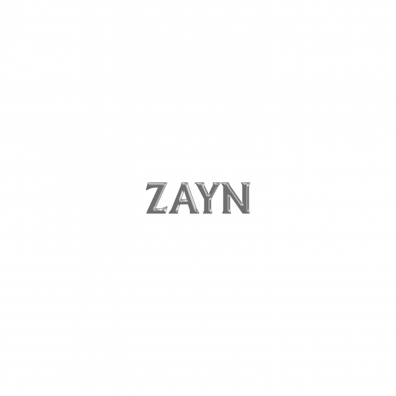 Icarus Falls Zayn (Зейн Малик): Icarus Falls