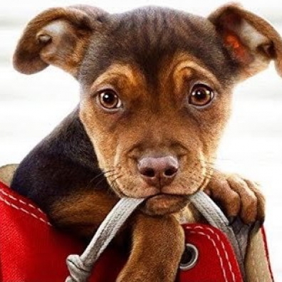 A Dog'S Way Home Mychael Danna (Майкл Данна): A Dog'S Way Home