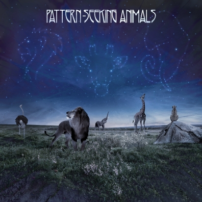Pattern-Seeking Animals: Pattern-Seeking Animals
